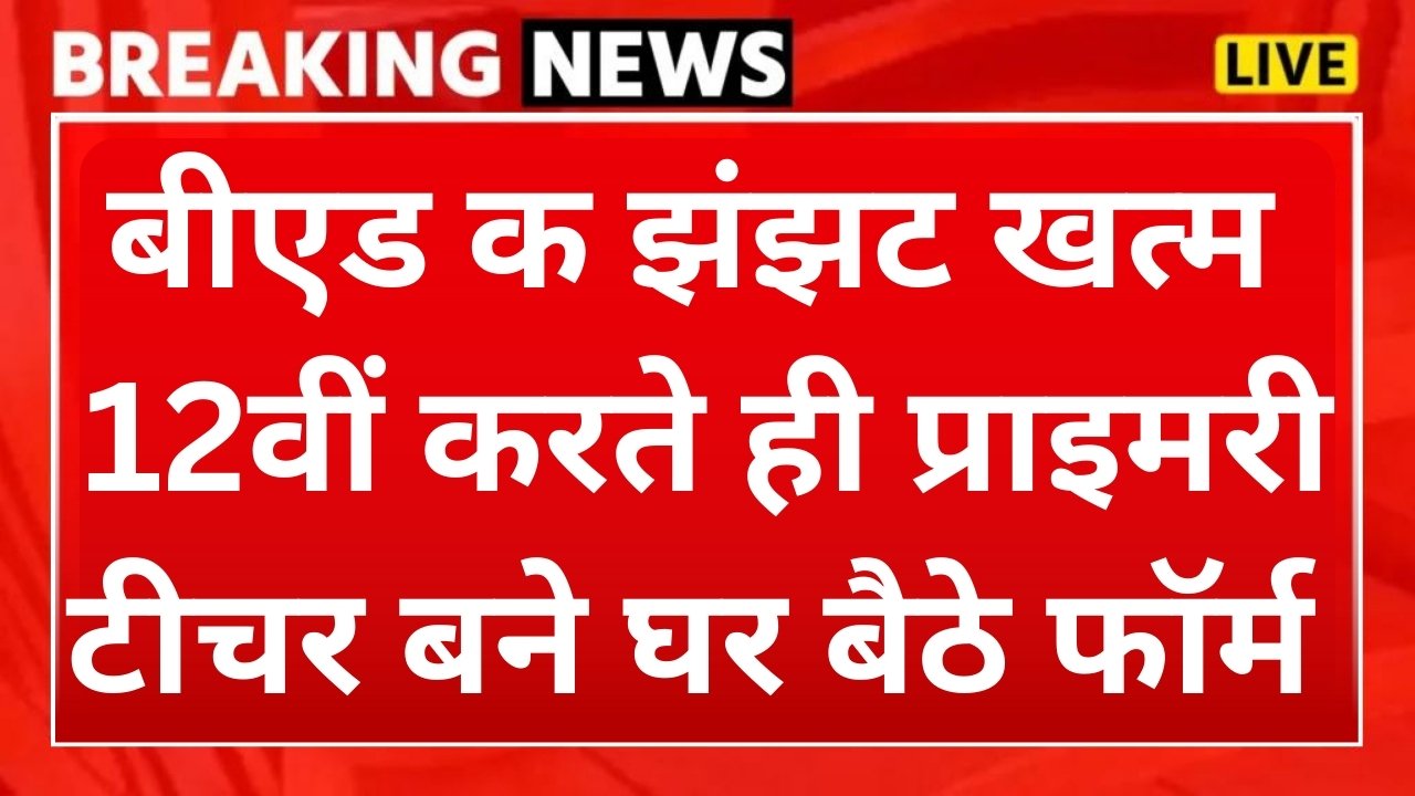 Primary Teacher Without BEd : खुशखबरी B.Ed का झंझट खत्म, 12वीं के बाद करते ही बने प्राइमरी टीचर, जाने कैसे ?